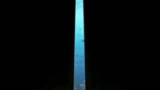 Download Lagu Lagu asiagem 2018 .. Monas MP3