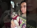 Relatos da Nina #video #shorts