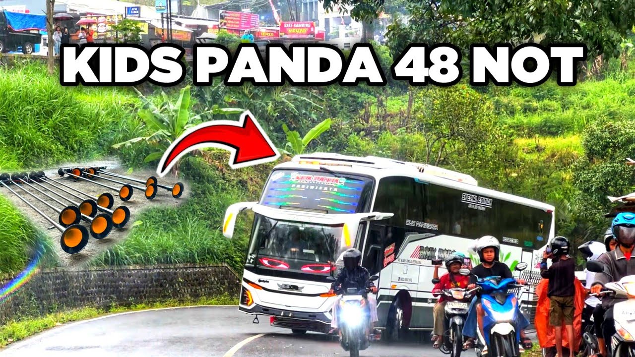 Bus Kids Panda Baik Rasa 48 Cortas Melewati kelok 8 Tawangmangu bikin Geger 