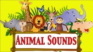 Animal Sounds For Kids Part 1 Learn - School - Preschool - Kindergarten