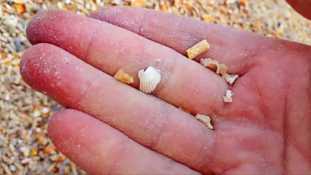 هما كلمتين هقولك عليهم قبل رمضان لازم تعملي كدة 