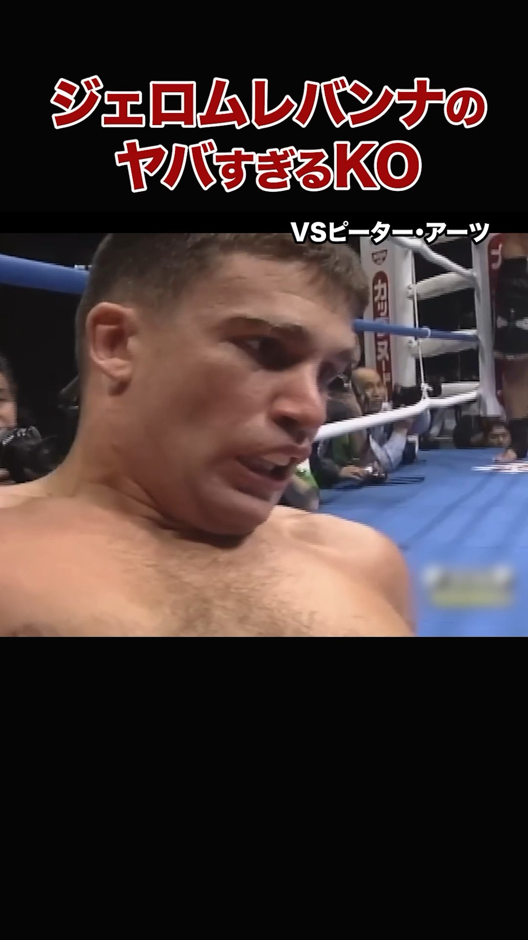 ジェロム・レ・バンナの壮絶KO！これぞ真のバトルサイボーグ