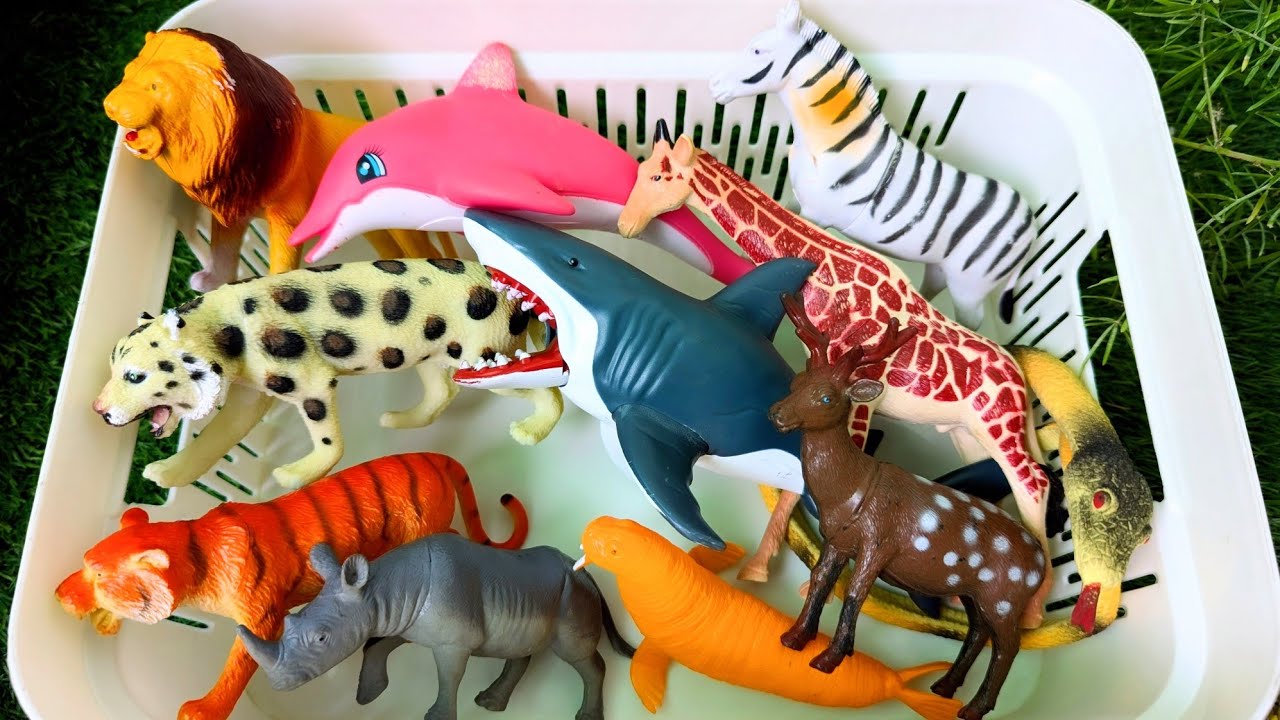 What Happens When Zoo Animals Visit the Ocean? 😲🐬 | Kids