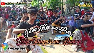 Download Lagu Kepang Putra Setyo Tunggorono Budoyo || Live Bendosari-Batang MP3