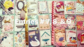 Entries # 7, 8, & 9