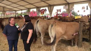 Entrevista María Amor Rodríguez / El Campo de Asturias