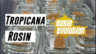 Tropicana Rosin