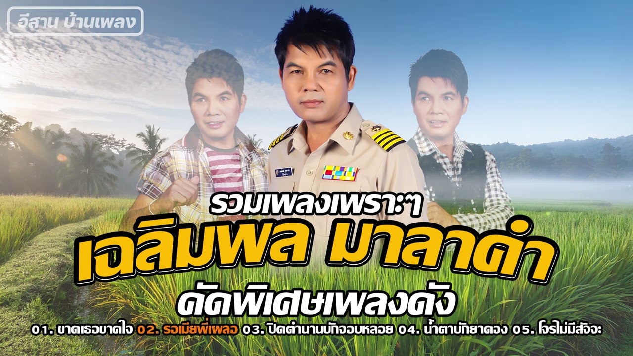รวมเพลงเพราะๆ เฉลิมพล มาลาคำ คัดพิเศษเพลงดัง | ขาดเธอขาดใจ,รอเมียพี่เผลอ