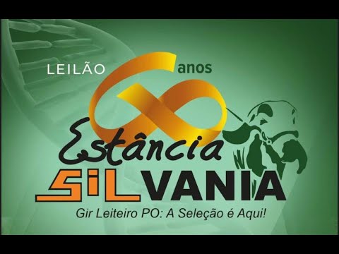 Lote 4 - Prenhez Janota FIV Silvania