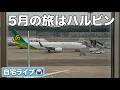 【自宅ライブ513】5月の旅はハルビン　2026.05.10