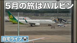 【自宅ライブ513】5月の旅はハルビン　2026.05.10