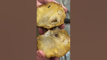 Day 30 of 31 Days of Possible GEODES #geode #shorts