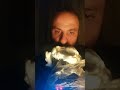 çok rahatlatıcı ASMR sesleri .