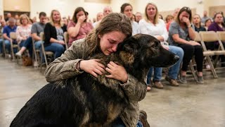 December Adoptions- When Dogs Choose Their Forever Humans 🥰 #Heartwarming #ShelterDogs #DogAdoption