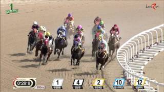 20161002 렛츠런파크 부산경남 1경주 1000m