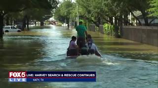 FOX 5 LIVE (8/31): LIVE pet rescues in wake of Harvey as search efforts continue