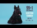 Scottish Terrier / 99+1 Dog Breeds の動画、YouTube動画。