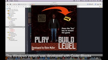 Video game Robin Sokoban