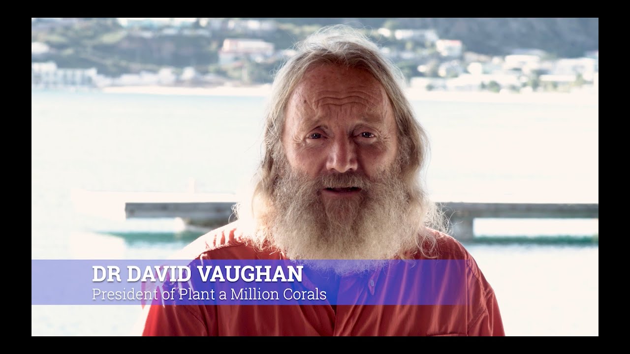 Plant a Million Coral