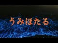 『うみほたる』オリジナル歌手  ハン・スギョンcover.ken.kuroki