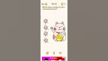 Brain out level 5. #brainout #5