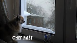 Снег идёт. Музыка - Дмитрий Шлапак