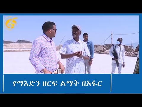 የማእድን ዘርፍ ልማት በአፋር