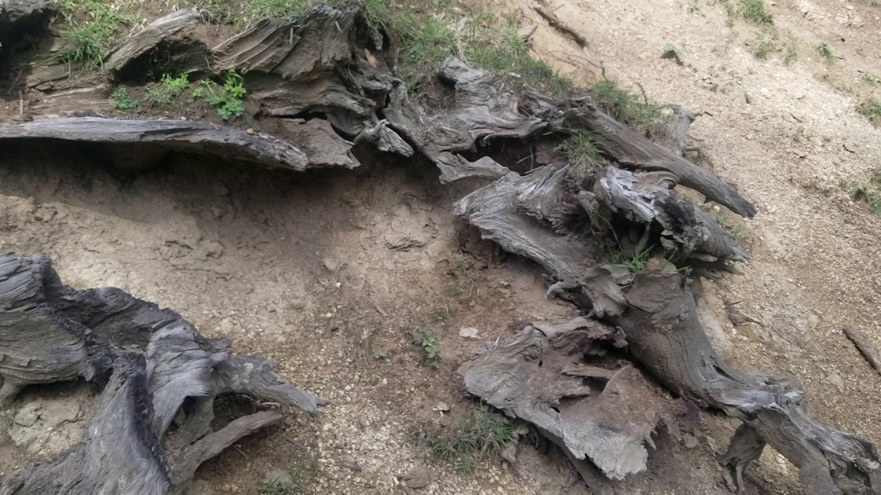 DIR USHERAI DARA GORKOHI SIDGAI BANDA