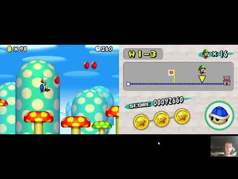 100% Attempts For New Super Mario Bros. DS (Part 1)