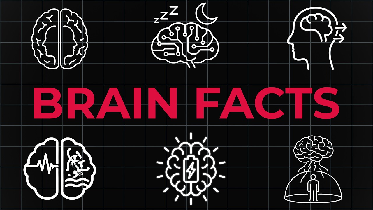 4 Hours of Strange Brain Facts That Make Reality Feel Unreal - YouTube