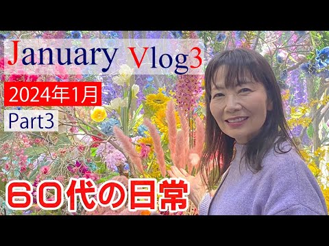 60代一人暮らしの日常vlog / 蜷川実花展 / 和食ランチ / クリームあんみつ / 庭の手入れ / ポストカード文通 / 野菜干し