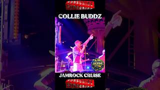 Collie Buddz – Love &amp; Reggae LIVE on Jamrock Cruise 🔥 #CollieBuddz #JamrockCruise #Reggae