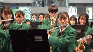 【吹奏楽】女子が好きな吹奏楽曲。女性におすすめの吹奏楽の名曲