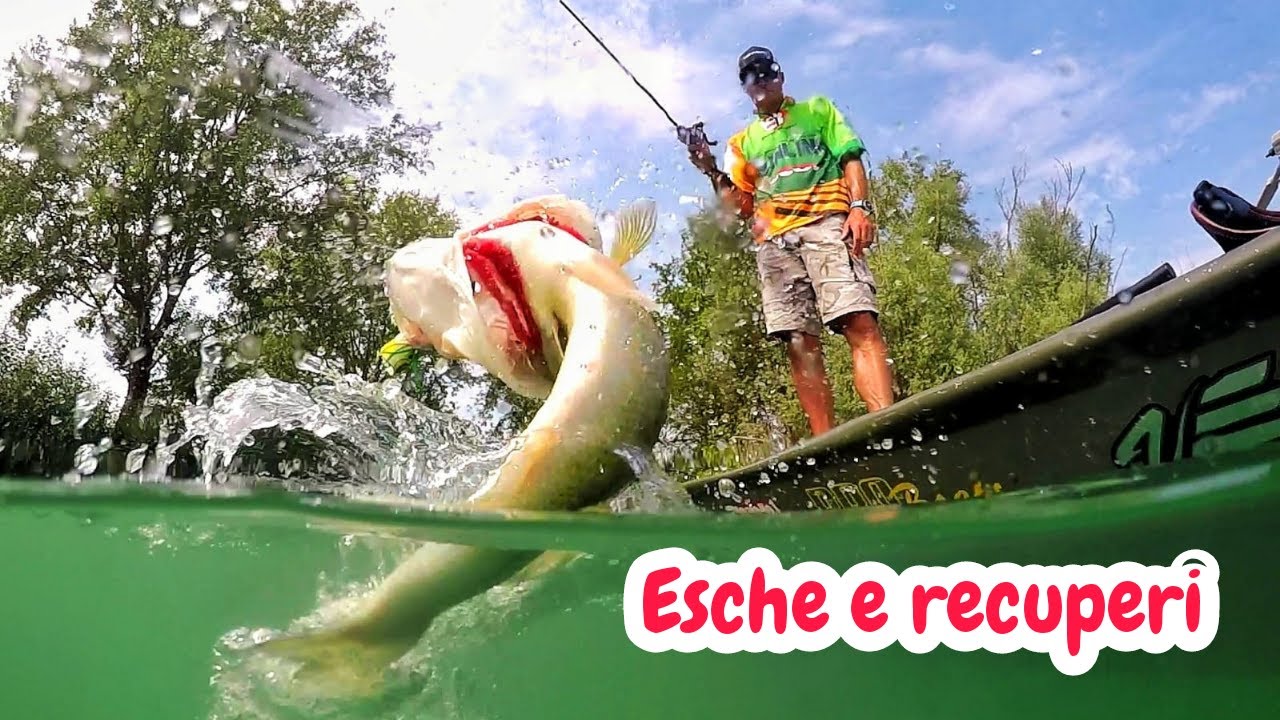 BASS FISHING – Come Recuperare le esche – Texas/Jig/Spinnerbait/Crankbait BASS FISHING – Come Recuperare le esche – Texas/Jig/Spinnerbait/Crankbait