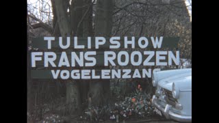 Vogelenzang 1963 Archive Footage