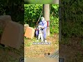 Residents in this village are NOT quite what they appear… 👵 - Google Maps