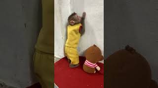 The Little Monkey Was Punished To Stand In The Corner Of The House