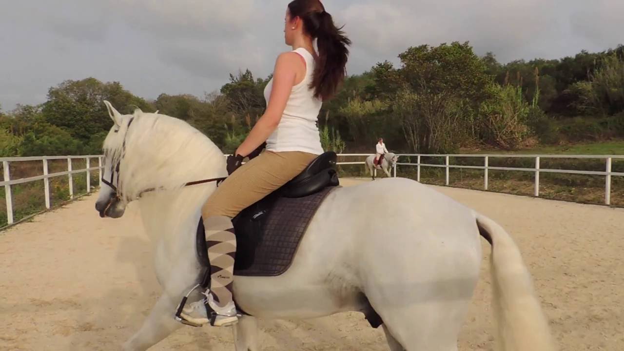 Quinta Elia Horse Riding YouTube