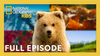 relax through seasons america s national parks 4k 40 minutes