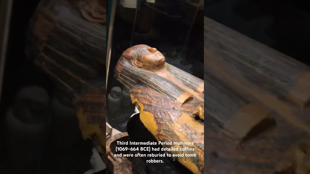 • Egyptian mummy from third intermediate period•Brief information available in description