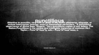 Famous What does punctilious mean Profile