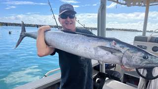 Another wahoo in the bag! 🎣 Just a short troll from shore off Rarotonga, Cook Islands.