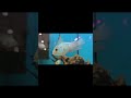 Fish.