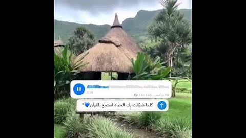 ن ۚ وَالْقَلَمِ وَمَا يَسْطُرُونَ ..||سورة القلم||سالم الرويلي 💗.