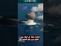 اختبار نووي فظيع