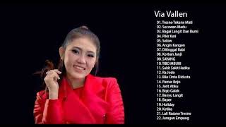 Lagu VIA VALLEN Terbaru 2020 / Dangdut Koplo Terpopuler [ Full Album ]