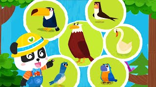 Baby Panda 's Bird Kingdom | Help Little Eagle Fly | Explore the Bird Habitats | Babybus gameplay screenshot 2