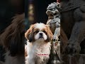 Dog Facts #6 #facts #shorts #shihtzu #shihtzupuppies