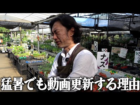 Honest thoughts] Why do you go to such lengths? [Carmen