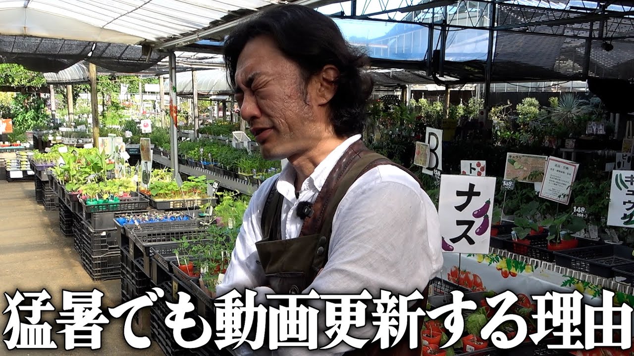 Honest thoughts] Why do you go to such lengths? [Carmen